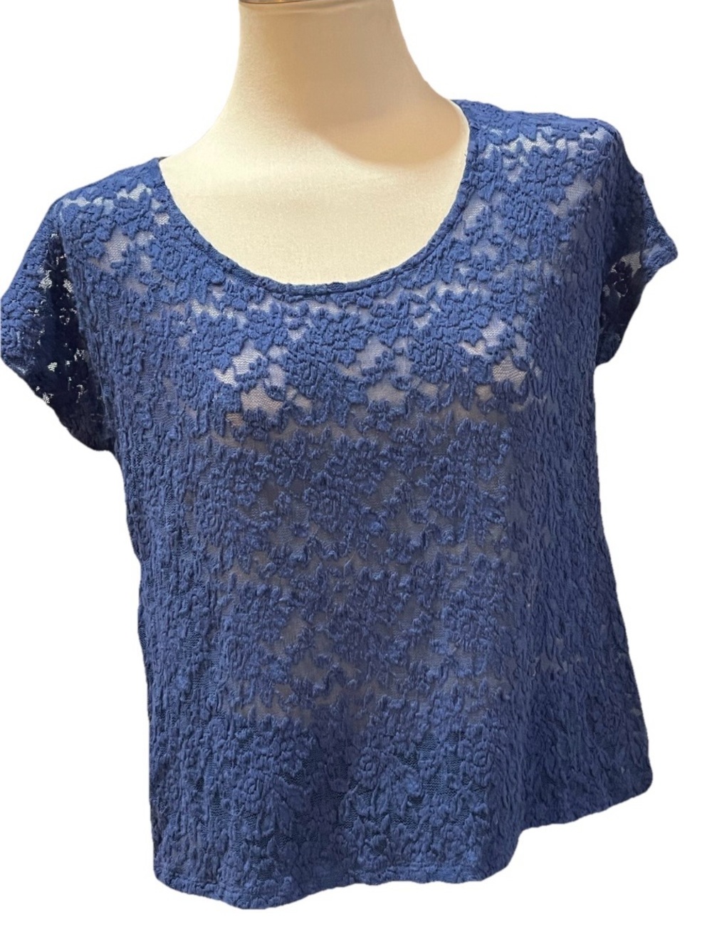 Blue Lace Short Sleeve Top with Back Button Detail